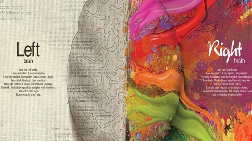 Brain