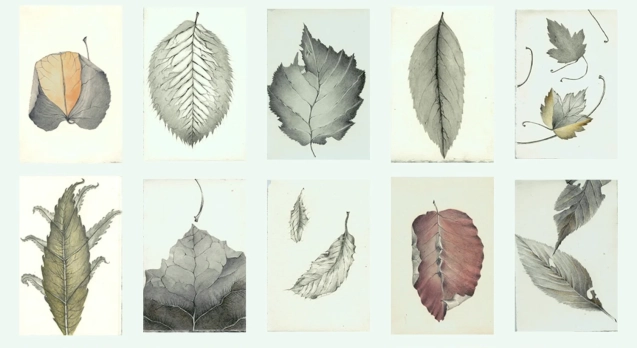 Leaves_1