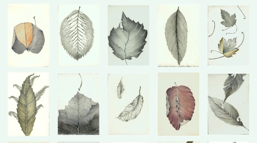 Leaves_1