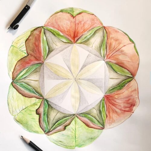 Mandala Meditation: Seed of Life