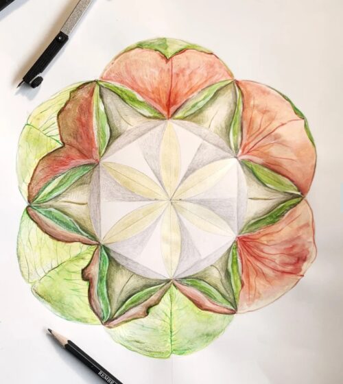 Mandala Meditation: Seed of Life